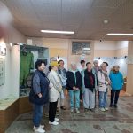 Экскурсия в Ивантеевском историко-краеведческом музее